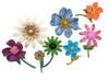 Polka Dots Flowers Enamel Flower Lot - Vintage Lane Jewelry