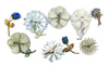 Blue Enamel Flower Lot 9 flowers - Vintage Lane Jewelry