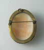 Vintage Hand Carved Shell Cameo Brooch/pin/pendant - Vintage Lane Jewelry